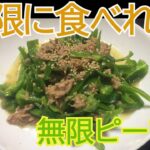 【無限ピーマン】今回はレンジで簡単アレンジレシピで無限に食べれるピーマンを作ってみました。【おつまみ】