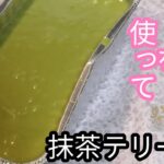 【アレンジレシピ】抹茶テリーヌをアイスで簡単に作る