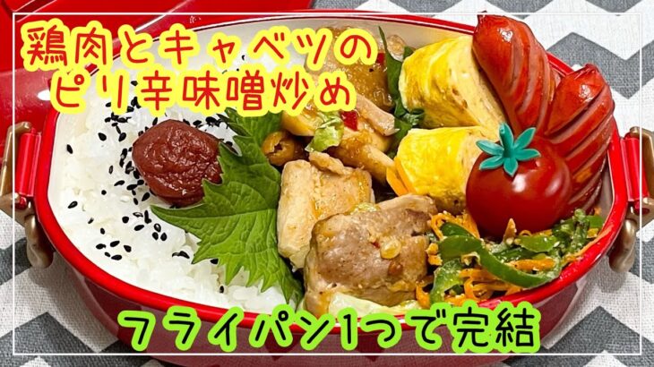 【お弁当】お弁当作り/フライパン1つで完結/鶏肉とキャベツのピリ辛味噌炒め