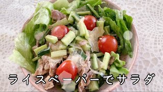 ライスペーパーアレンジレシピ！味付け肉とライスペーパーのサラダ🥗

Pork and rice paper salad 🥗