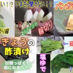 【電子レンジレシピまとめ16】らっきょうの酢漬け・野菜の塩ゆでの方法・野菜の切り方（輪切りきゅうり）・野菜の切り方（輪切り大根）・パンガシウスの煮つけ