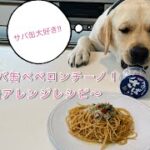 簡単！サバ缶ペペロンチーノ！〜サバ缶アレンジレシピ〜【パスタ】【サバ缶】