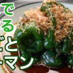 包丁いらずでレンジで簡単！火を使わないから暑くない【野菜レシピ】