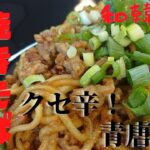 【韓国家庭料理レシピ】「ピリ辛」肉味噌焼きそば！～肉味噌アレンジレシピ～青唐辛子レシピ～焼きそばアレンジレシピ～