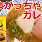 うまかっちゃんカレー味　九州の味ラーメン うまかっちゃん　アレンジ