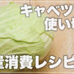 【キャベツレシピ】キャベツを丸々一個使うキャベツアレンジレシピを一挙ご紹介