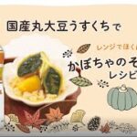 【レンジでほくほく】かぼちゃのそぼろ煮レシピ　通常ver.