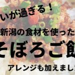 【美味しいが過ぎる！】新潟の食材を使ったそぼろご飯！アレンジも加えました♪