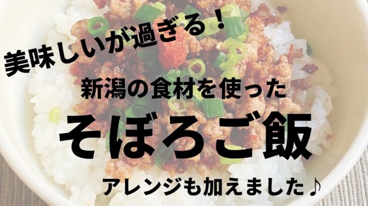 【美味しいが過ぎる！】新潟の食材を使ったそぼろご飯！アレンジも加えました♪