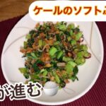 【フライパン1つ】ご飯のお供に最適！ケールのソフトふりかけ