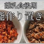 【離乳食後期】万能ストックレシピ2選！ほぼ同じ材料で同時においしい作り置きを作ろう！生後9か月ごろから！