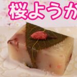 電子レンジで作る「桜ようかん」鍋を使わないので簡単！桜の花を白あんに練り込んだ可愛いようかん♡桜の風味が広がる春色桜ようかん