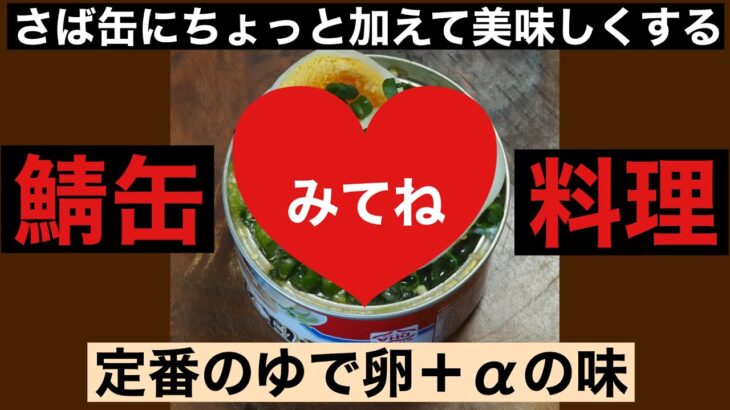 【鯖缶レシピ】定番のゆで卵をスライスして 簡単でおいしい味付けに