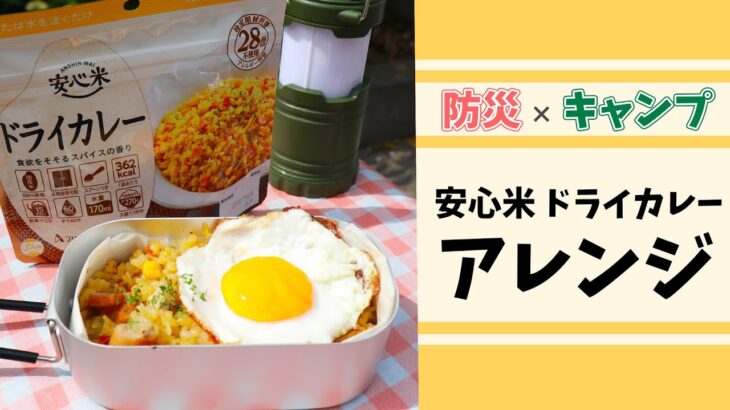 【防災×キャンプ】メスティンを使って、安心米 ドライカレーをアレンジ🍛🏕#shorts