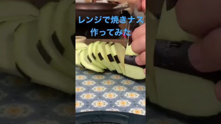 【簡単レシピ】トラ剥きにして、電子レンジでチンするだけ#簡単レシピ #料理初心者 #自炊レシピ #ずぼら飯 #時短レシピ #酒のつまみ #なんちゃって料理 #なすレシピ