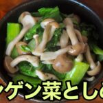 【簡単副菜レシピ】めっちゃ美味しい♪チンゲン菜としめじの中華和え［レンジで簡単］