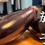 【夏野菜なす】なすで作る簡単料理・おつまみ３品