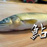 【夏の風物詩】鮎で３品料理・おつまみを作る。