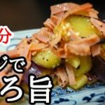 茄子のとろ旨レンジ蒸しの作り方！後一品に直ぐ作れる簡単レシピ