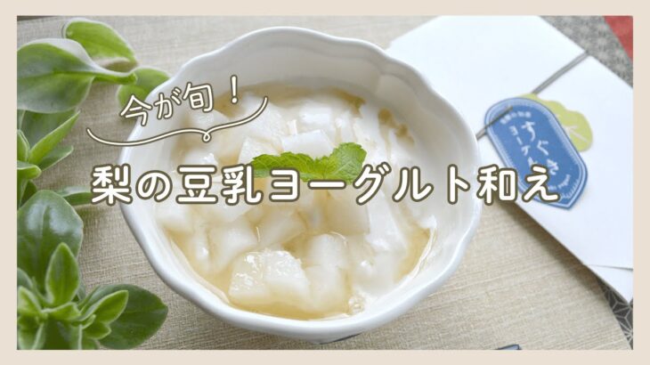 豆乳ヨーグルトアレンジレシピ「梨の豆乳ヨーグルト和え」100%植物性・完全国産・植物性乳酸菌の豆乳ヨーグルト種菌。