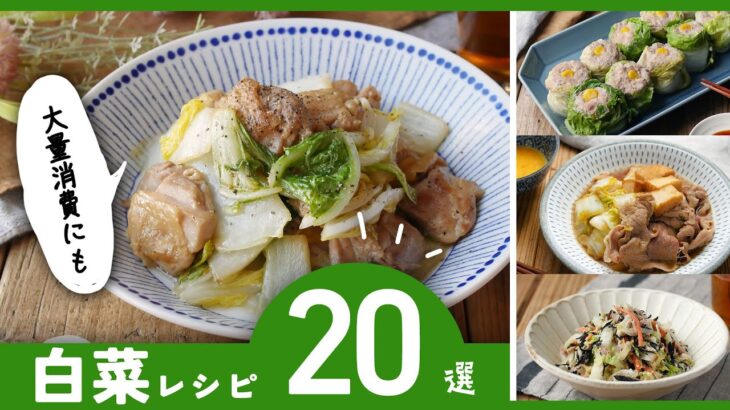 スープやサラダ、炒め物にも！アレンジレシピ満載♪【白菜レシピ20選】｜macaroni（マカロニ）