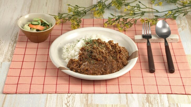 【DAIGOも台所】レンジで簡単キーマカレー｜簡単レシピで本格カレー◎