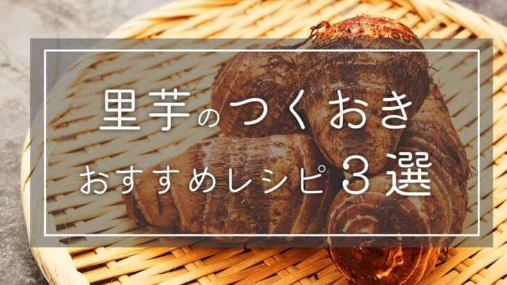 【時短料理】冬のおすすめ晩ごはん！『里芋つくおき３選』の作り方🍳