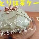 電子レンジで4分！超お手軽！抹茶クリームたっぷりの抹茶ケーキ！シドニーのおかんが作る抹茶の香りがたまらん抹茶クリームケーキ！Maccha microwave cake