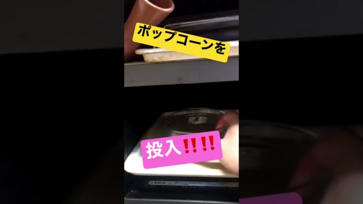 本当にポップコーンが電子レンジでできるの⁉️