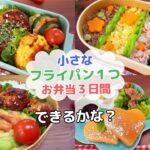 こんなに小さいフライパン１つで⁈お弁当作り3日間【Making Bento】蓮根ハンバーグ/イワシロール/３色そぼろ/豚こまチーズボール