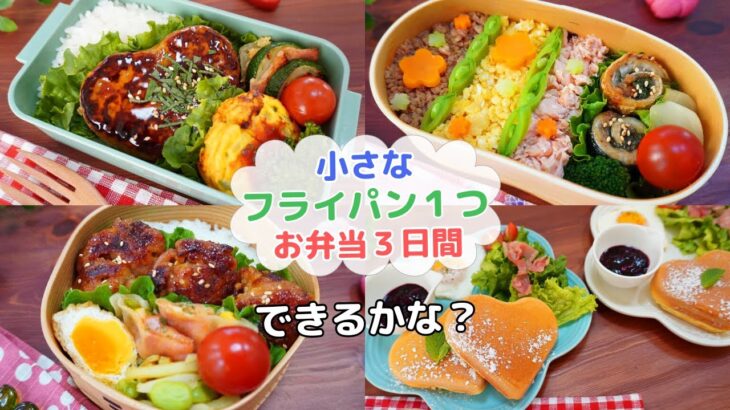 こんなに小さいフライパン１つで⁈お弁当作り3日間【Making Bento】蓮根ハンバーグ/イワシロール/３色そぼろ/豚こまチーズボール