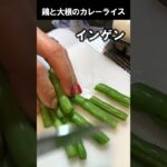 鶏と大根のカレーライス【フライパン1つで】簡単料理 #Shorts