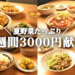 【1週間の夕飯献立】夏野菜の時短レシピをさくっとご紹介！簡単スピード晩ごはん5日間