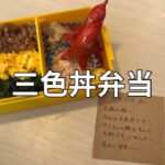 【レシピ】フライパン１つで簡単！お手軽三色丼弁当の作り方【お弁当】obento