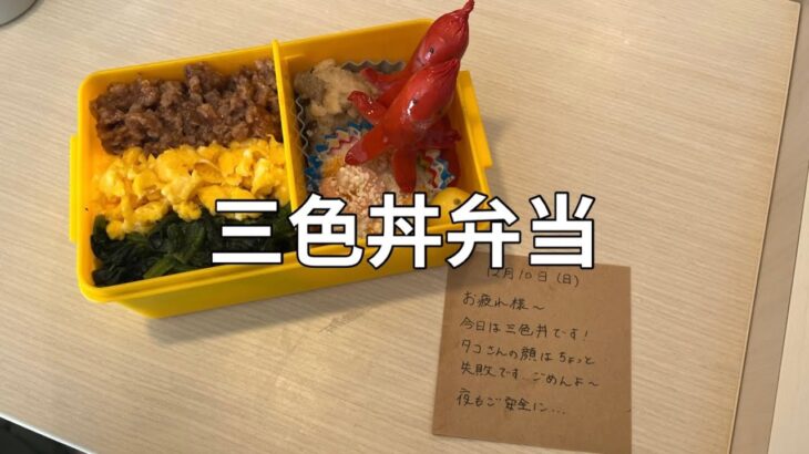 【レシピ】フライパン１つで簡単！お手軽三色丼弁当の作り方【お弁当】obento