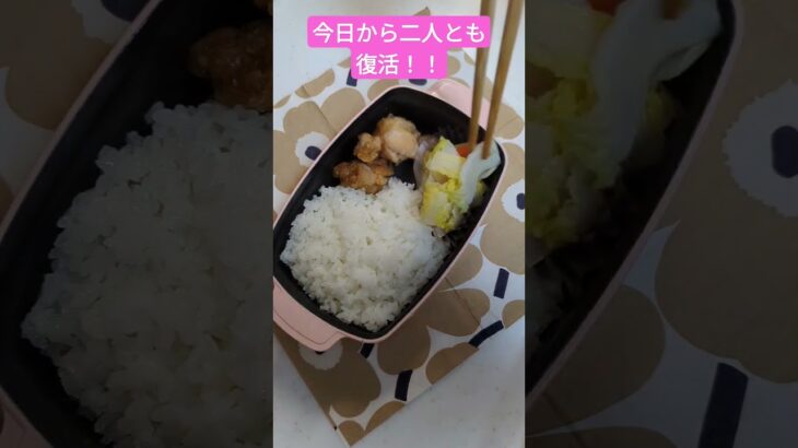 【ふぬ弁】電子レンジ唐揚げ弁当！！インフルエンザからの復活、久しぶりの学校🏫頑張ってね！#shorts #簡単レシピ #お弁当 #毎日弁当 #お弁当記録 #料理