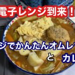 電子レンジでチーズオムレツ！簡単にできたよ！やってみて！