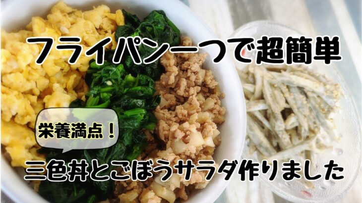 フライパン一つで超簡単！栄養満点三色丼とゴボウサラダ作りました