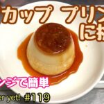 マグカッププリンに挑戦！電子レンジで簡単に作れる材料は玉子、牛乳、グラニュー糖の3つ。たぬきッチン【アラ還暦バツイチ週末Vlog】