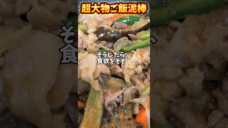 ご飯泥棒見参！【簡単家庭料理】