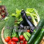 【夏野菜レシピ🍅🥒🍆】地元(神戸)の農協で夏野菜を買ってきました！簡単な料理アレンジ！