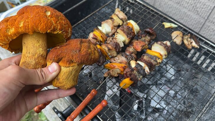 きのこ狩り　ポルチーニと肉を串焼きにすると旨い　(ロシア料理シャシリクのアレンジ)