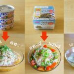 加熱不要のタレ３種❣️簡単そうめんアレンジレシピ