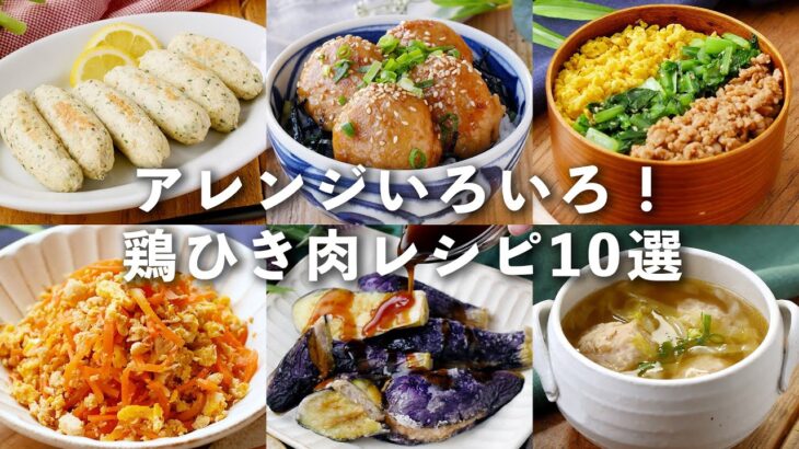 【ひき肉レシピ10選】アレンジ色々！簡単にできる♪ #ひき肉 #レシピ #おかず