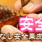 栗の皮を簡単むく 包丁使わない安全方法! 2案あります!(^^)!