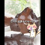 ダイエット❣️豆腐のチョコレートケーキの作り方✨ #レンジで簡単 #低糖質 #チョコレートケーキ