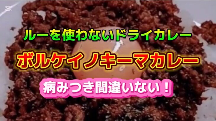 【お得なアレンジレシピ】ルーを使わないドライカレー『ボルケイノキーマカレー』2024年12月8日