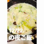 バカ親さん、ほぼフライパン一つで豆乳で作った夜ご飯が美味しいそう😋😸⁉️