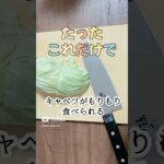 たったこれだけで簡単キャベツの電子レンジレシピ／塩キャベツ