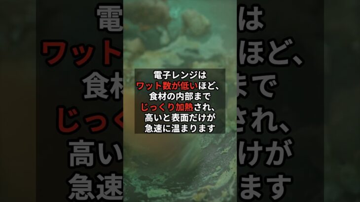 電子レンジの「500W」「600W」、実は◯◯が違う！？